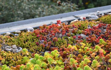 the cost of Grangemouth green roof installation