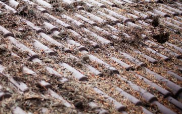 Grangemouth roof cleaning companies