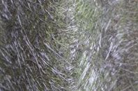 Grangemouth fibreglass roof work